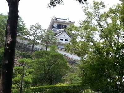 高知城20140716_120006.jpg