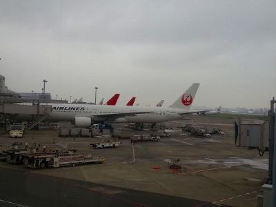 0614はねだ.jpg