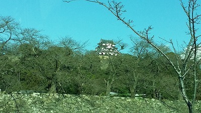 20160311_彦根.jpg