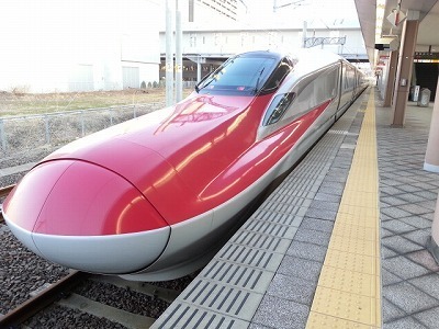 akita20140401_170849.jpg