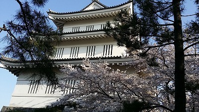 忍城20150331_162145.jpg