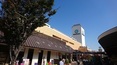 171104.もり.jpg