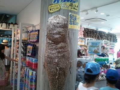 2012-08-03 ぬいぐるみ25000.jpg