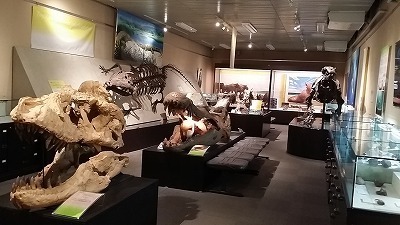 20170120化石.jpg