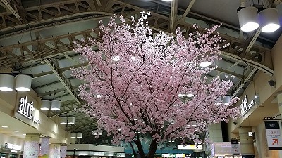 20160406　上野.jpg