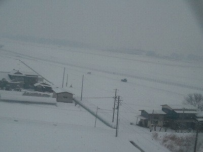 shinai2012-02-15 07.32.33.jpg