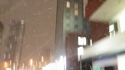 雪20141113_184044.jpg