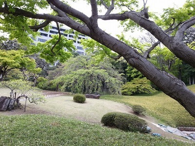 後楽園20140413_162801.jpg