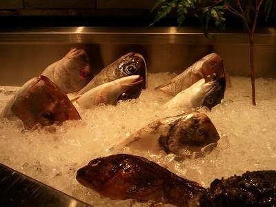 2012-08-28店頭.jpg