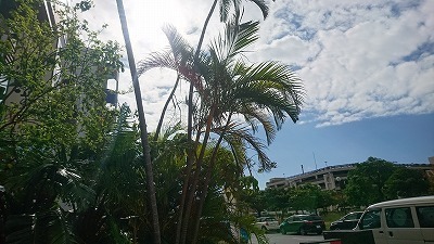 171109.沖縄.jpg