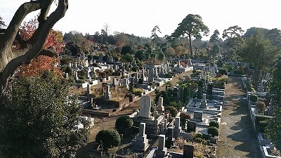 20151208_多磨霊園.jpg