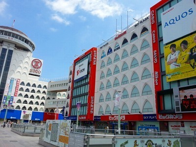 0718かしわ.jpg