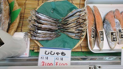 DSC_0920ししゃも.jpg