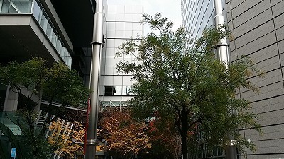 国際フォーラム20141130_124318.jpg