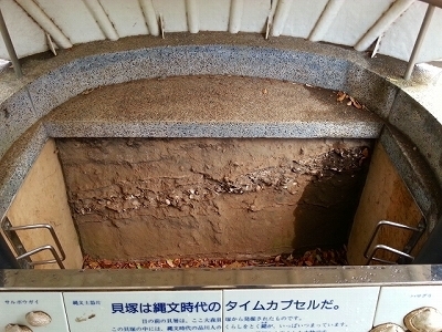 ・・・・貝塚のあと20131210_131648.jpg