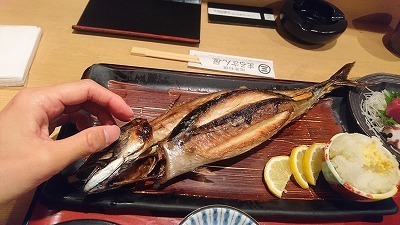 171116.サバ.jpg
