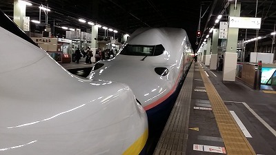 新潟駅20150104_181709.jpg