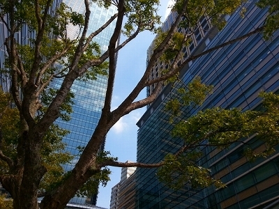 ・・0921六本木駅前.jpg