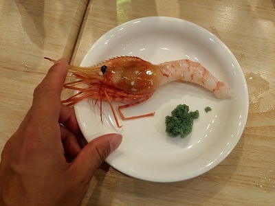 20150820 えび