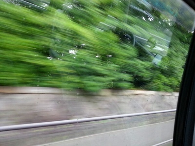 0621京都御苑.jpg