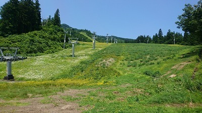 DSC_0998スキー.jpg