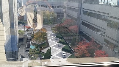 20161113紅葉.jpg
