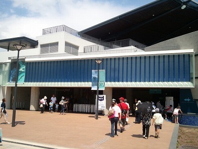 2012-08-03 京都水族館.jpg