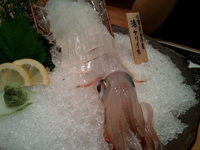 イカ09-08_19.18.20.jpg