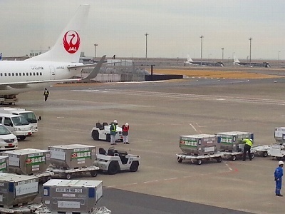 333羽田飛行場20140213_152658.jpg