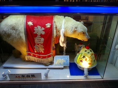2013.07.31しろくま.jpg