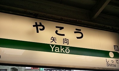 2012-04-11 矢向.jpg
