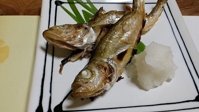 20151001はたはた.jpg
