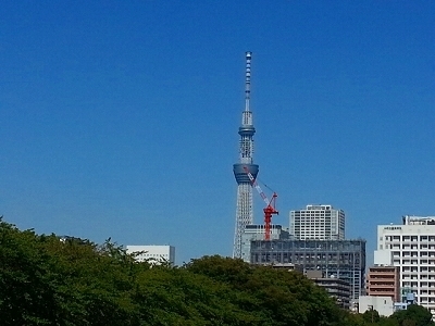 ・・0919すかいつりー.jpg
