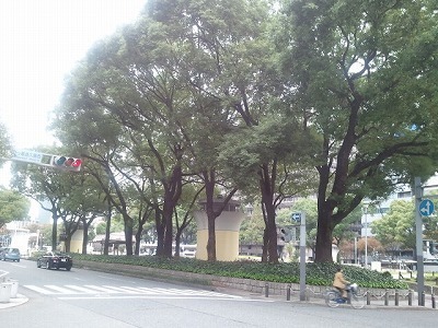 栄2011-11-10_12.10.31.jpg